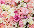 Roze en witte rozen van Bloemen en Lifestyle