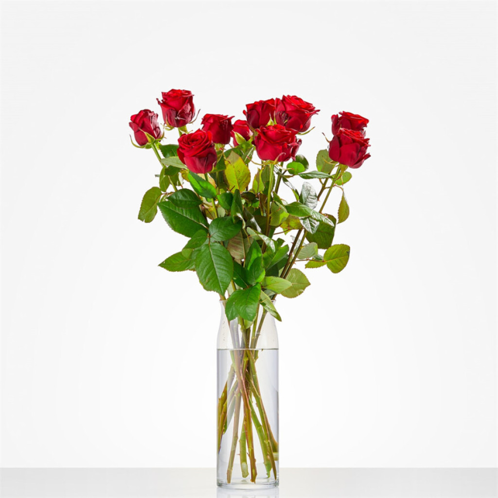 Losse rode rozen